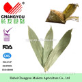 Best Selling Natural Dried Bamboo Leaf